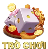 Các sự kiện đặc biệt